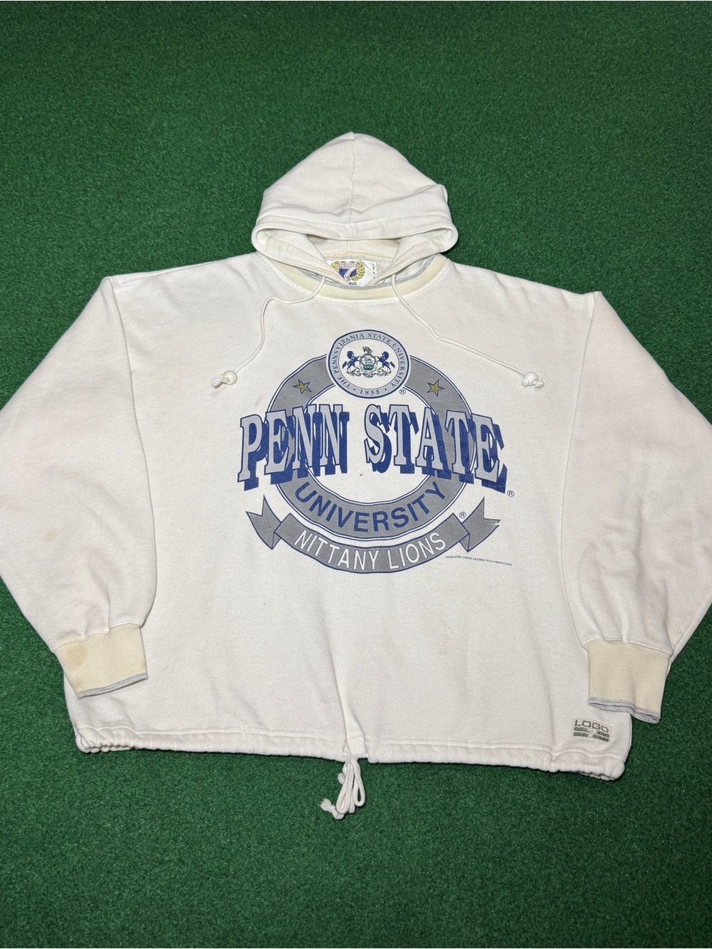 Vintage 80s 90s Penn State Nittany Lions Hoodie Sweatshirt, College Cropped XL
